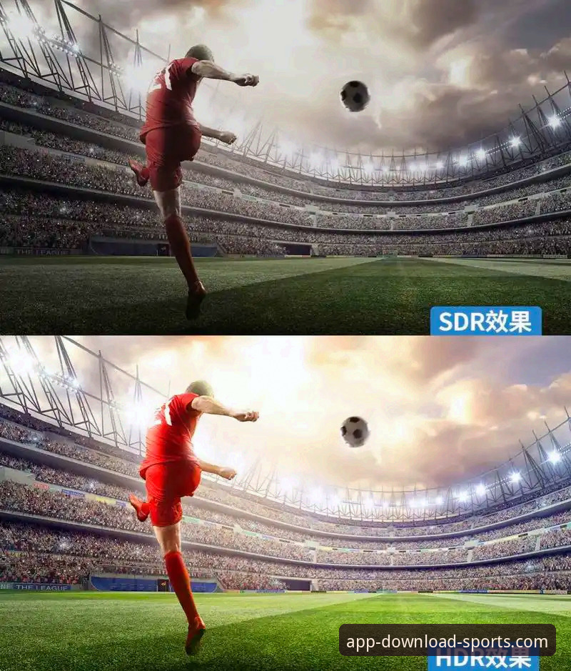 瑞典中场贝里瓦尔世界杯梦想vs完美体育平台观赛体验：哪个更值得关注？