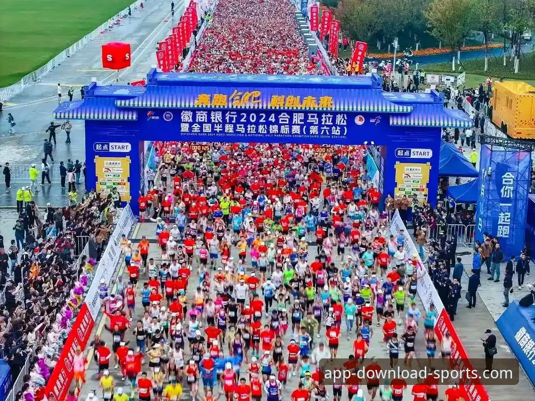 完美体育APP体验如何哪个好？2024新版深度评测报告